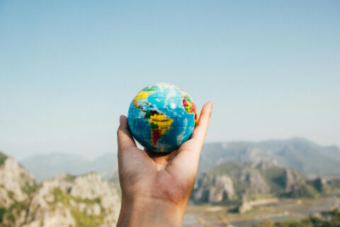 Symbolbild zum Artikel. Der Link öffnet das Bild in einer großen Anzeige.